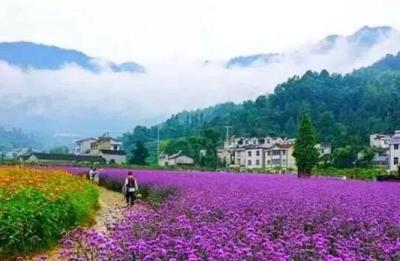 央视在屈原故里“乡约”美景