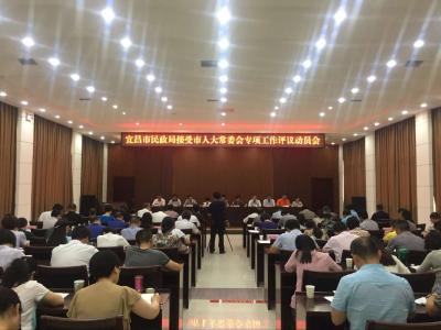 市民政局丨接受市人大常委会专项工作评议