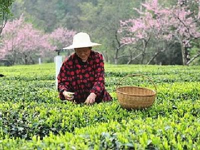 八省涉农资金“整”得好 中央奖励每省八千万