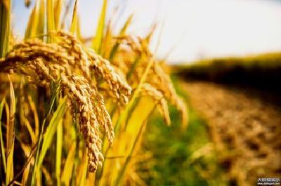 湖北发布涉农价费政策清单 对农民专项收费“清零”