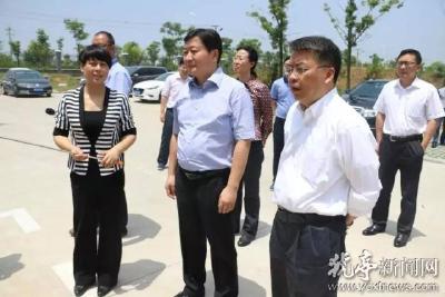 童道驰来猇调研自贸区建设和招商引资工作