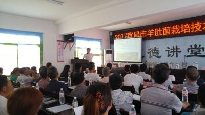 三峡手机报再办羊肚菌种植培训班   400余读者慕名来