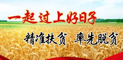 周霁：确保“聚力脱贫攻坚、五级代表在行动”取得扎实成效