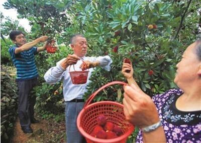 生态农业助民增收