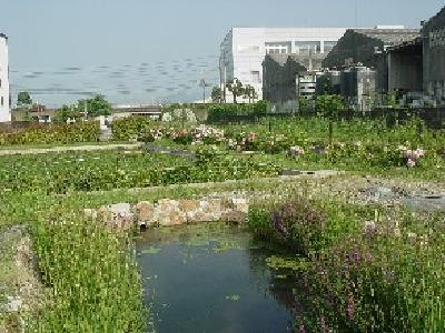 宜昌市住建委治理乡镇生活污水出硬招 厂网同步 建管一体