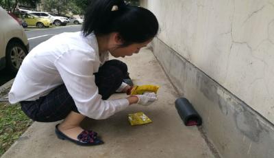 石板溪社区开展夏季除四害活动