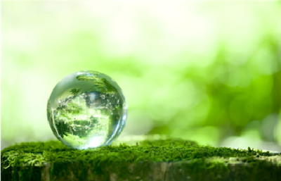 宜昌市政府召开第12次常务会议 限期推进环保问题整改销号