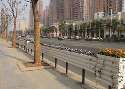 三峡时评丨从一棵树，看城市精细化管理