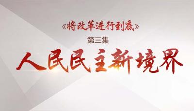 《将改革进行到底》第三集：人民民主新境界