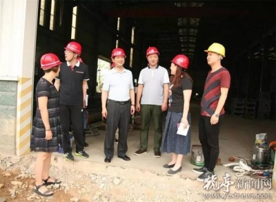 市“三新”项目督查组来猇督查新签约、新投产项目情况
