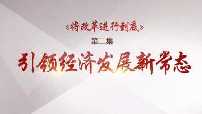 视频丨《将改革进行到底》第二集