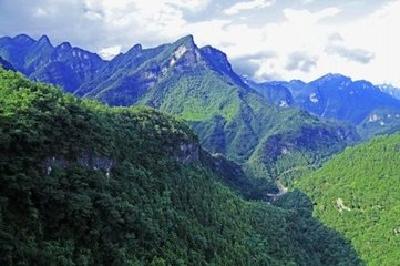 绿满宜昌 52个自然保护区总面积占宜昌国土6.7% 全省领先