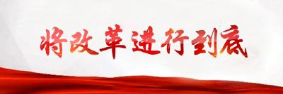 大型政论专题片《将改革进行到底》