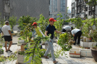 西陵区打响老旧小区环境整治“第二仗”  全面开展土街头片区综合攻坚