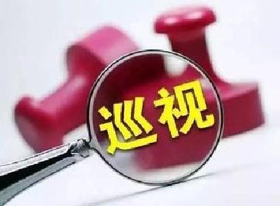 视频丨省委第七巡视组向宜昌市委反馈巡视“回头看”情况