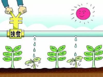 远安全域脱贫攻坚观察：下活产业扶贫这盘棋