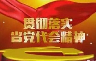 市宣讲团在点军宣讲省党代会精神 推进滨江生态新城建设