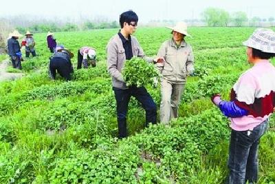 人民日报评大学生村官融入难：多些鞋底泥 才是自家人