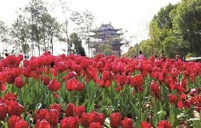 宜昌今年计划新增29处重点绿地