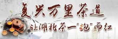 【快帮你的家乡茶上头条】如何让湖北茶一“泡”而红
