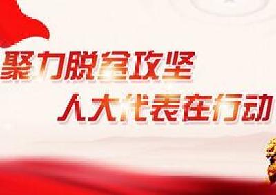 宜昌人大常委会召开“人大代表在行动”活动推进会