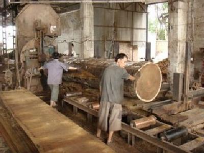 宜昌城区木材经营加工市场清理整顿初战告捷 注销10家