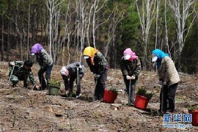 习近平对塞罕坝重要指示引强烈反响