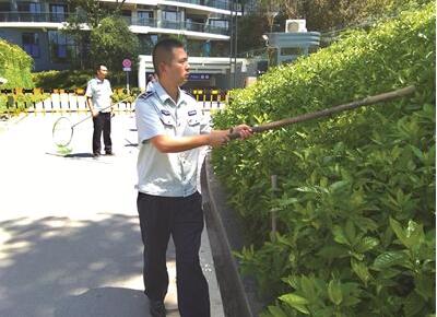 小心！宜昌城区流窜狗连伤7市民