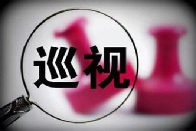 辛识平：巡视，国之利器，党之利器
