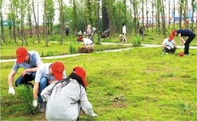 50余名志愿者清除垃圾杂草 让柏临河岸边干净清爽