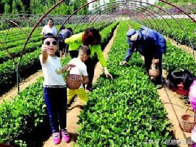 做农旅融合文章 秭归生态扶贫让农民看到致富希望