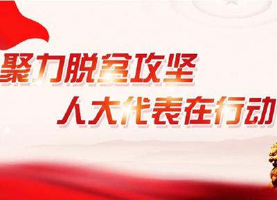 秭归：严把“六关”为民解忧
