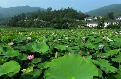 旅游扶贫，让“好风景”带来“好钱景”