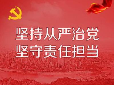 汪伟赴伍家岗区督导主体责任落实情况