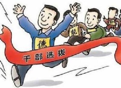 宜昌部署加快打造“工匠+猛将”型干部队伍