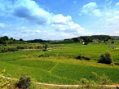国务院自2017年起开展第三次全国土地调查
