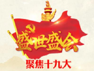 十九大主席团举行第三次、第四次会议 习近平主持