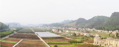 青龙村里欢乐多 —美丽村镇佳节行②