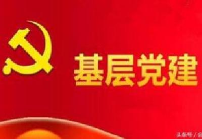 宜昌创新加强城市基层党建工作侧记