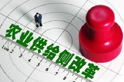 宜昌召开农业供给侧结构性改革调研座谈会