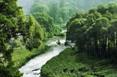 市人大视察沙河整治及拟新增绿地项目
