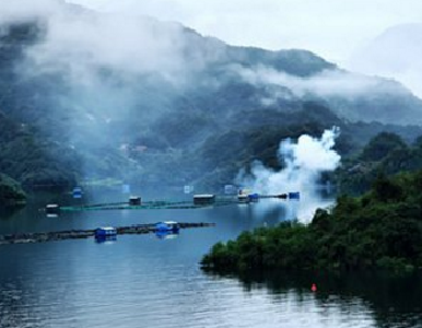 两处水利风景区“水润荆楚”  清江、百里荒获评“湖北最美”