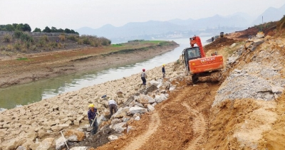 柏临河入江护坡 加紧建设