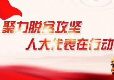 秭归泄滩乡第九届人大代表向宣凤：深山里的特别“代表” 
