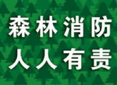 省市召开电视电话会议 部署森林防火等林业重点工作