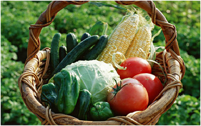 湖北斥资6000万实施果菜茶有机肥替代行动