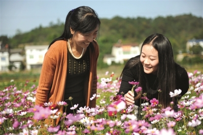 乡村花卉 引八方游客