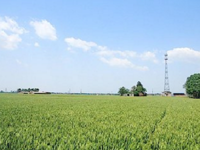来源可查、责任可究 宜昌明年基本建成农资可追溯体系