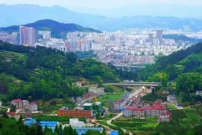 市政府召开乡镇(街道)、村(社区)干部代表座谈会