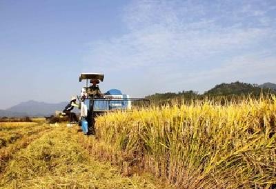 向朝阳来宜调研职业农民培育工作 “宜昌经验”可信可学